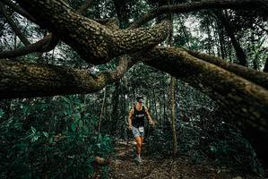 BIB: 
                            <button type="button" onclick="openModal(25707831)" class="btn btn-primary btn-sm float-right btn-popup" data-toggle="modal" data-target=".modal-high-quality">
                        <i class="fas fa-shopping-cart"></i> Add to Cart
                    </button>
                                            <button type="button" onclick="isThisMe(25707831, true)" class="btn btn-success btn-sm float-right btn-popup btn-isme hidden" data-toggle="tooltip" data-placement="bottom" title="นี่คือรูปของคุณใช่ไหม คลิกที่นี่เพื่อเอาเข้าอัลบั้ม">
                        <i class="fas fa-plus"></i> Add to album
                    </button>
                    <button type="button" onclick="isThisMe(25707831, false)" class="btn btn-warning btn-sm float-right btn-popup btn-isnotme hidden">
                        <i class="fas fa-ban"></i> Remove from album
                    </button>